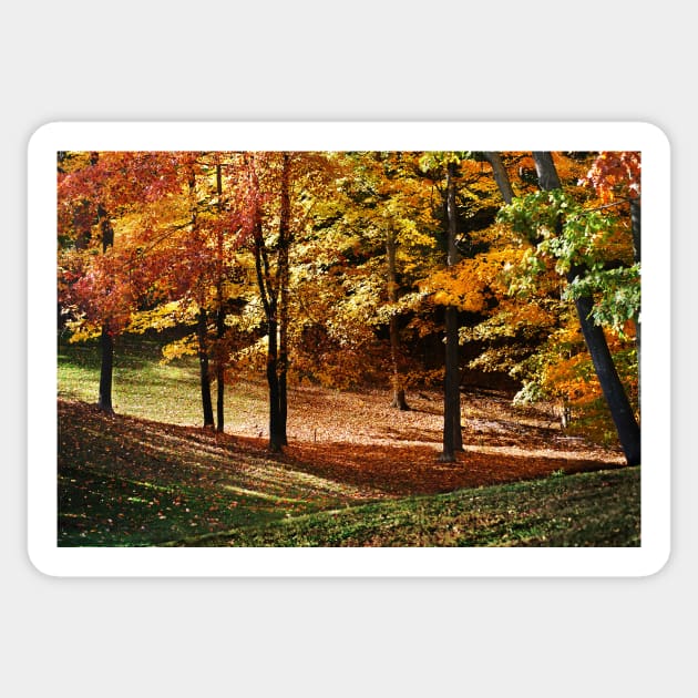 Autumn Leaves Sticker by LaurieMinor